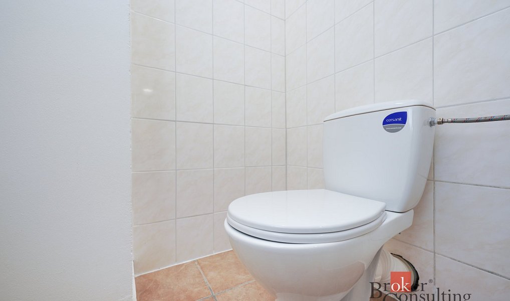 Pronájem bytu 2+kk 52 m², Mlékojedy – náhled fotky 11