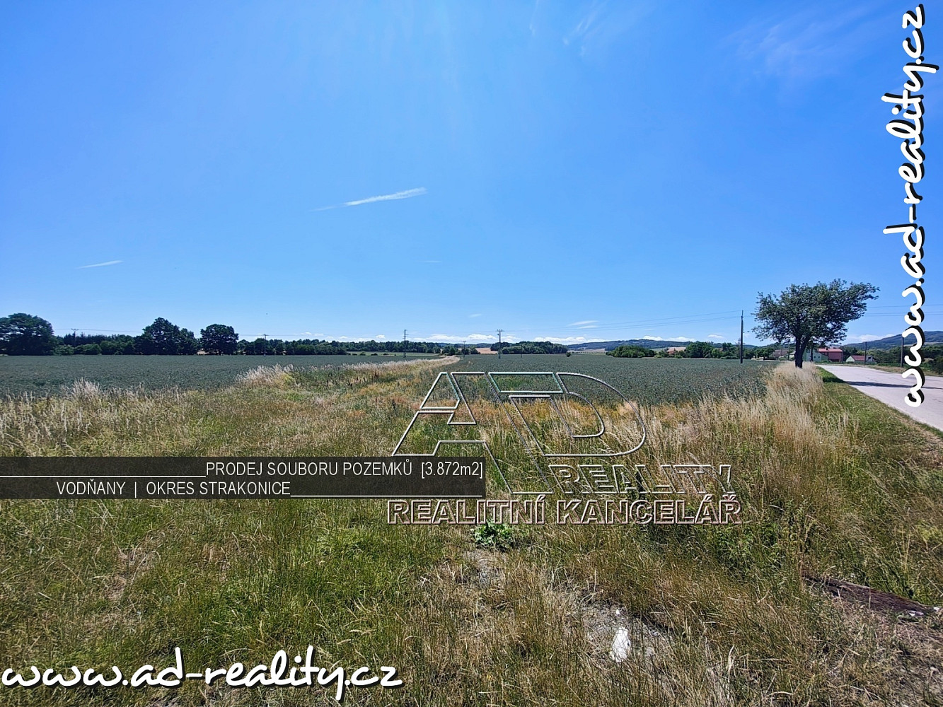 Prodej pole 3 872 m²