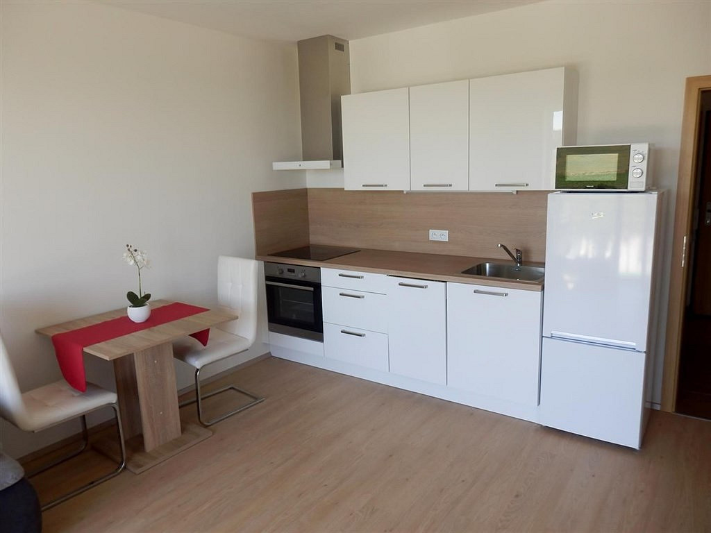 Pronájem bytu 1+kk 36 m² — photo 3