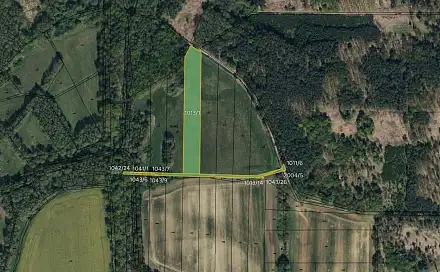 Prodej louky 10 075 m², Lázně Bohdaneč, okres Pardubice