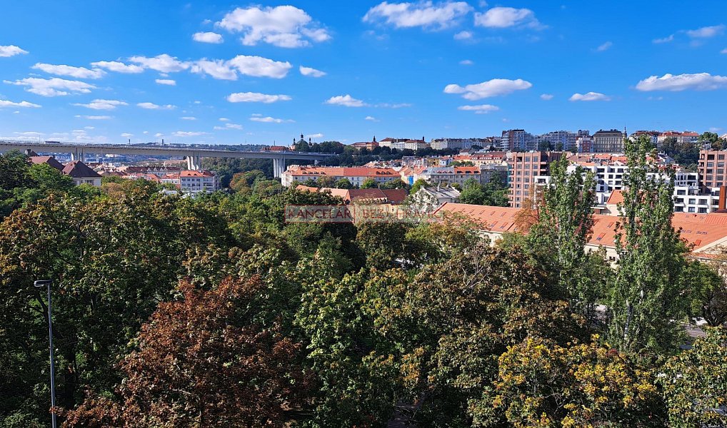 Pronájem bytu 1+kk 35 m², Praha – náhled fotky 8