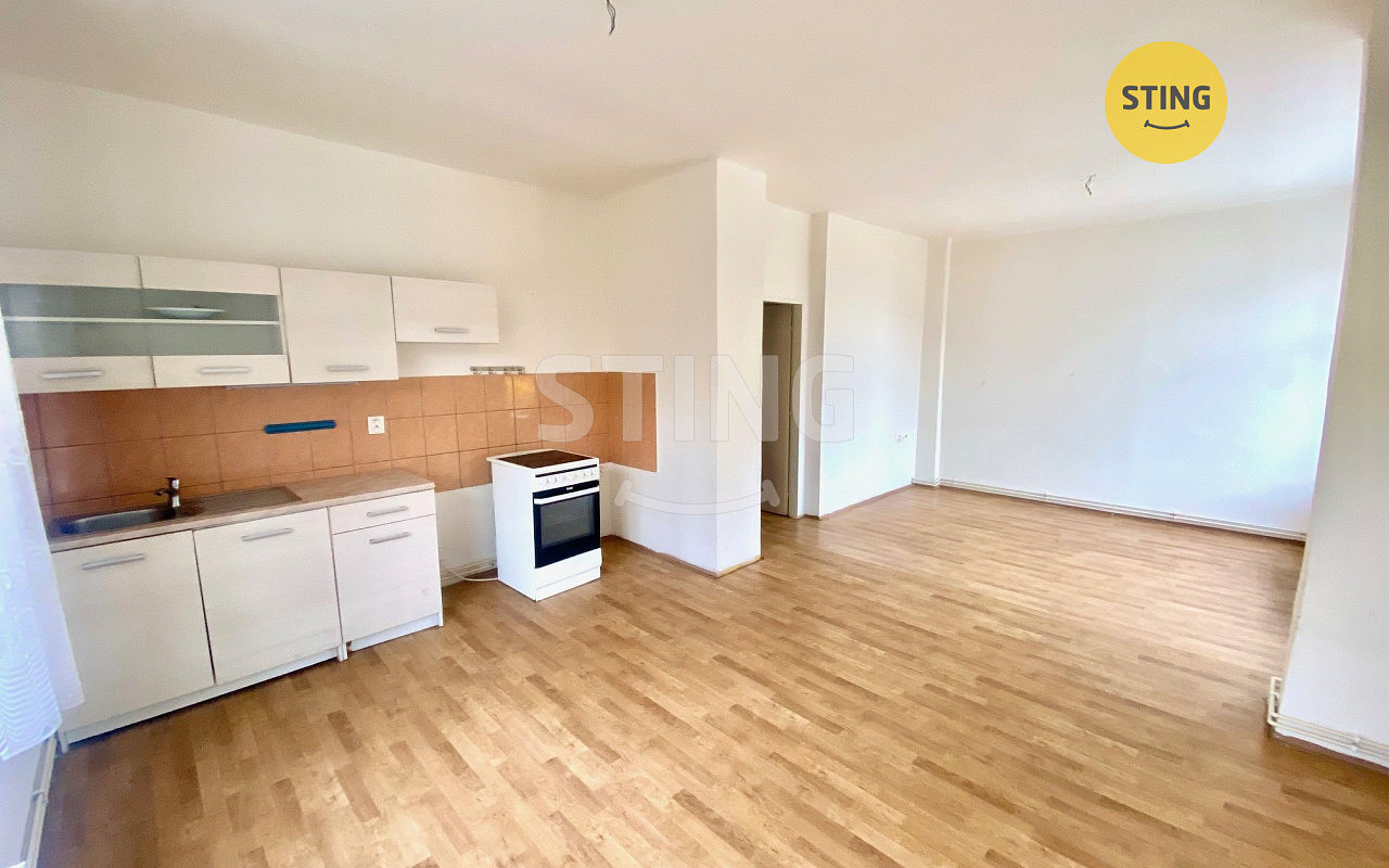 Pronájem bytu 1+kk 39 m²