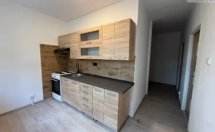 Pronájem bytu 2+1 55 m²