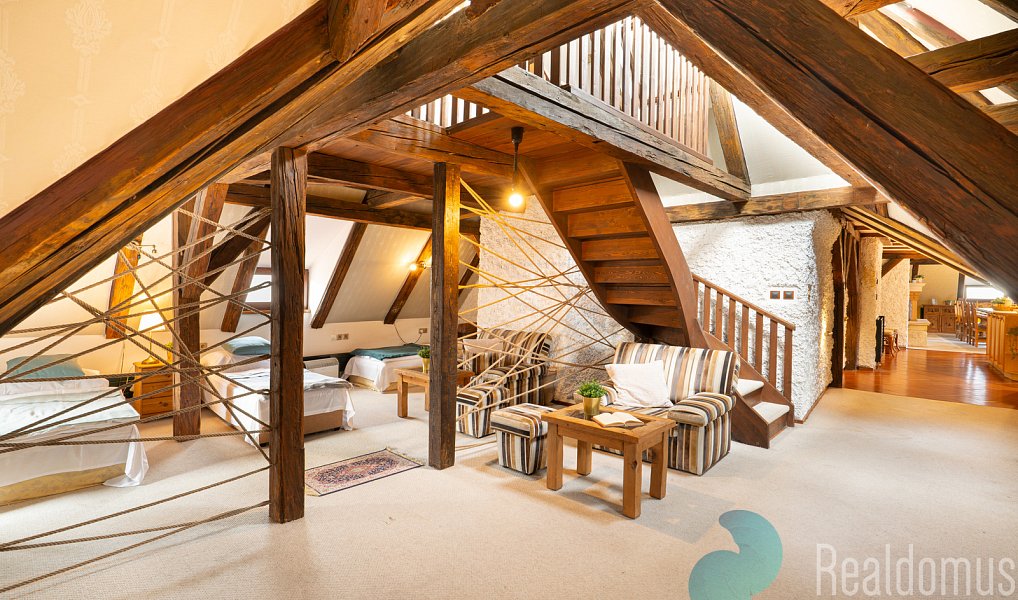 Prodej bytu atypického 270 m², Praha – náhled fotky 5