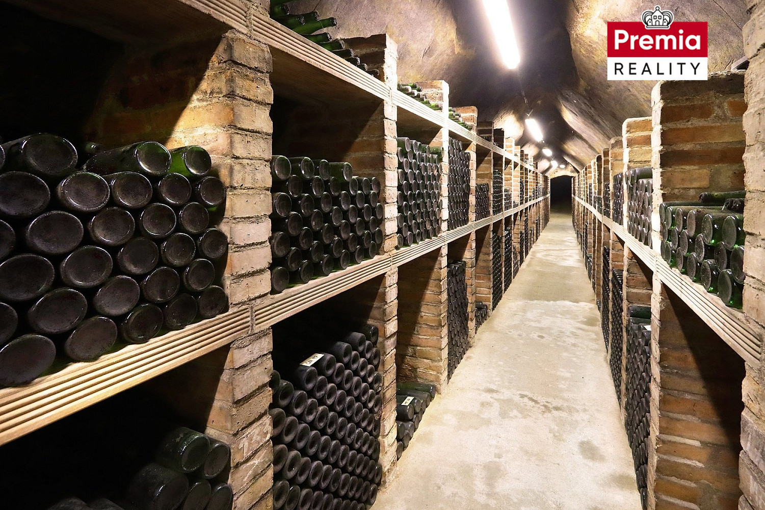 Vinařský areál modrý sklep na prodej — photo 3