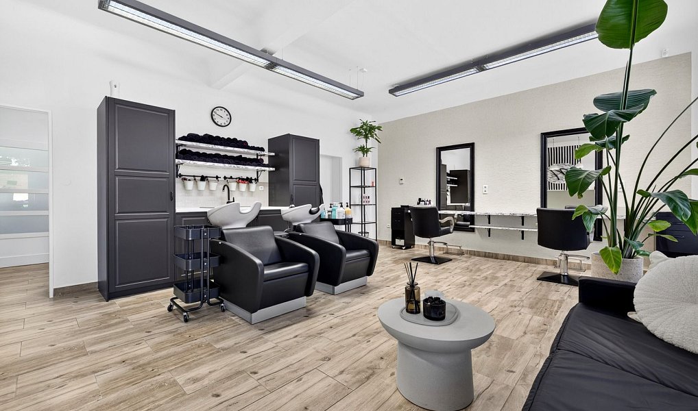 Prodej domu 489 m² s pozemkem 332 m², České Budějovice – náhled fotky 5