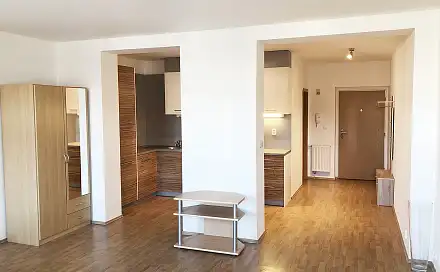 Pronájem bytu 1+kk 46 m²