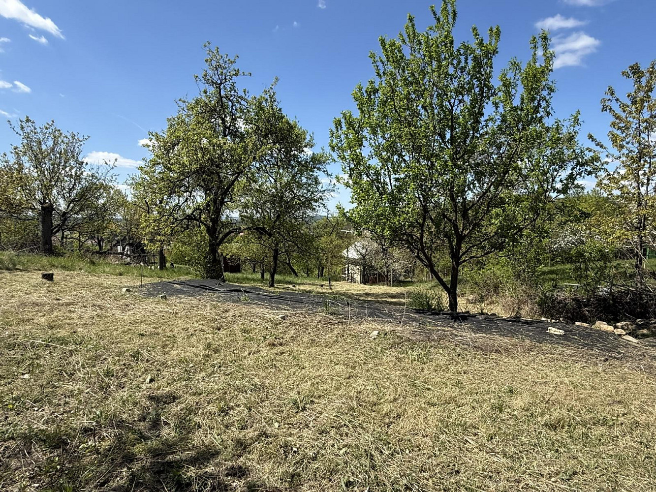 Prodej zahrady 539 m² – pohled 2