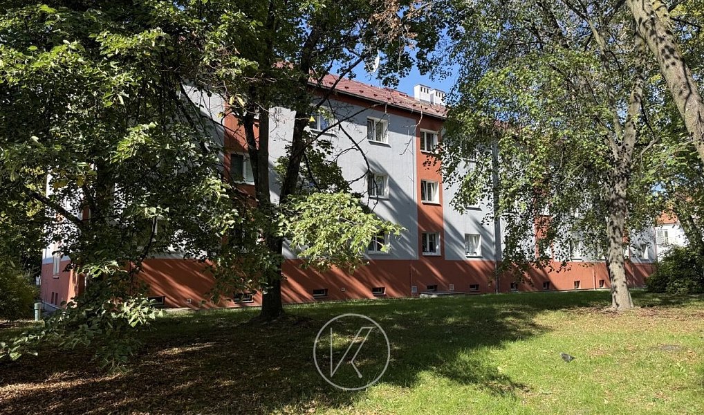 Pronájem bytu 1+1 28 m², Plzeň – náhled fotky 6