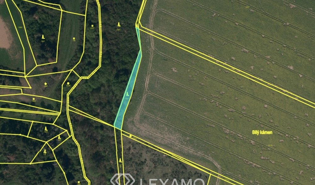 Prodej lesa 15 246 m², Vladislav – náhled fotky 5