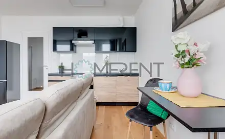 Pronájem bytu 1+kk 26 m², Perucká, Praha 2 - Vinohrady