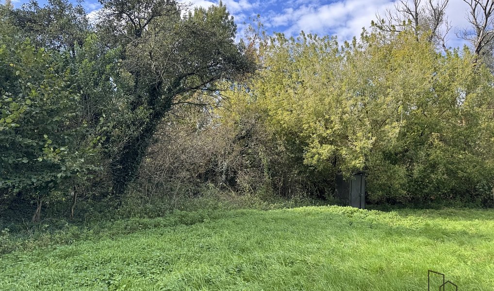 Prodej louky 3 793 m², Rohatec – náhled fotky 2