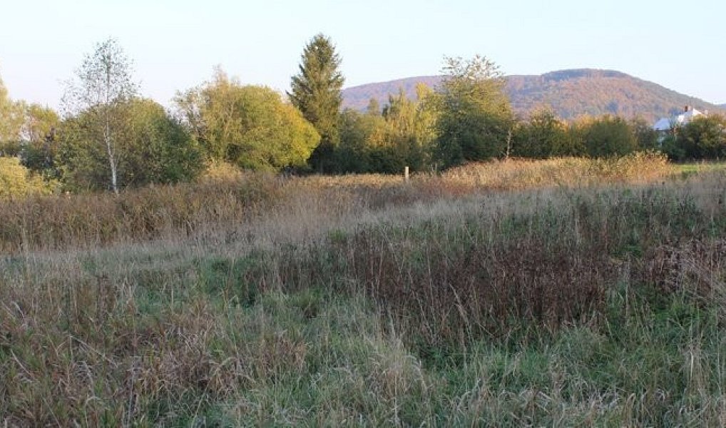 Prodej komerčního pozemku 12 121 m², Jiřetín pod Jedlovou – náhled fotky 3