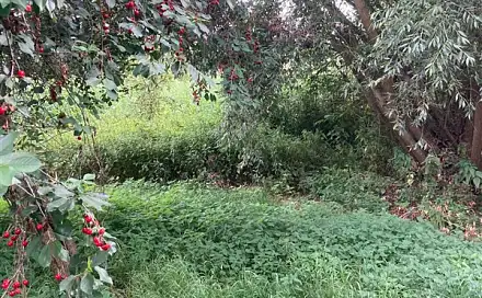 Prodej pozemku 438 m², Staňkovice, okres Louny