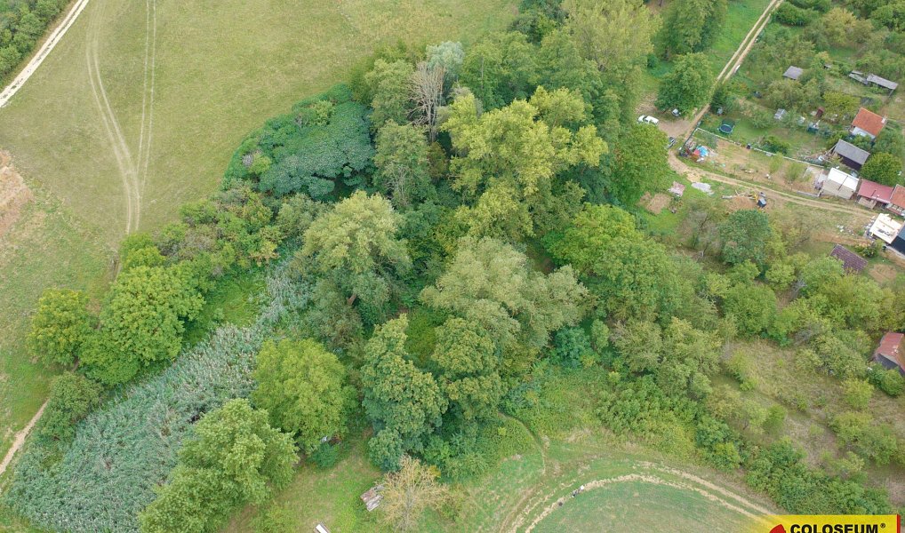 Prodej zahrady 4 292 m², Uherský Brod – náhled fotky 4