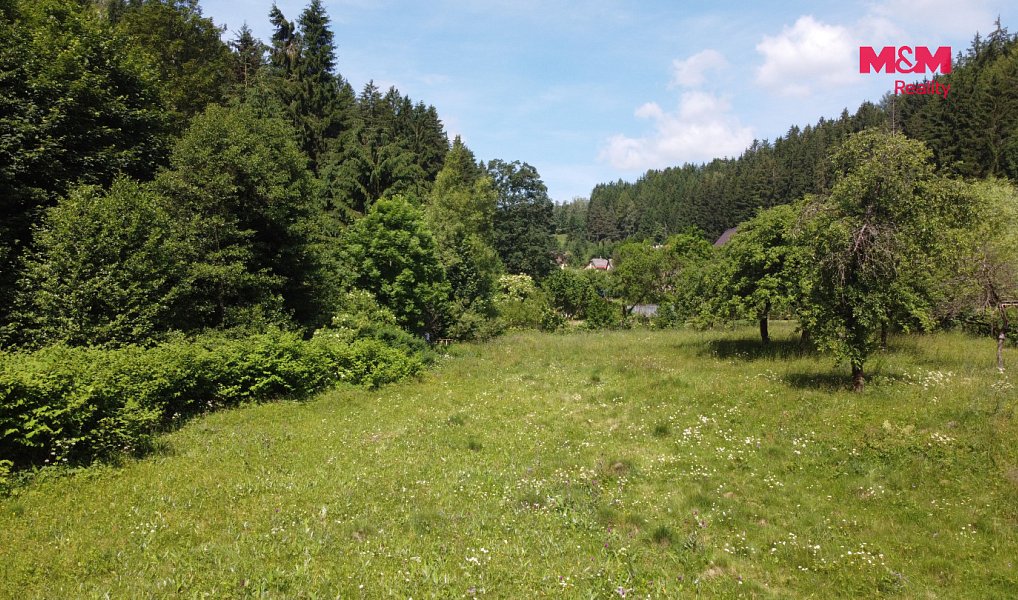 Prodej domu 110 m² s pozemkem 3 359 m², Plavy – náhled fotky 9