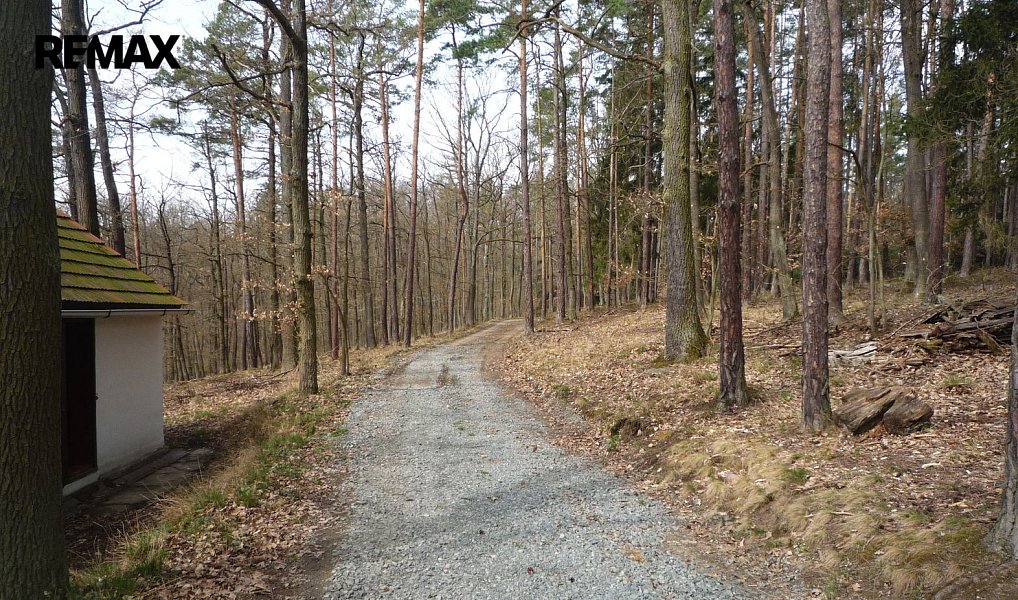 Prodej chaty/chalupy 50 m² s pozemkem 46 m², Plasy – náhled fotky 11