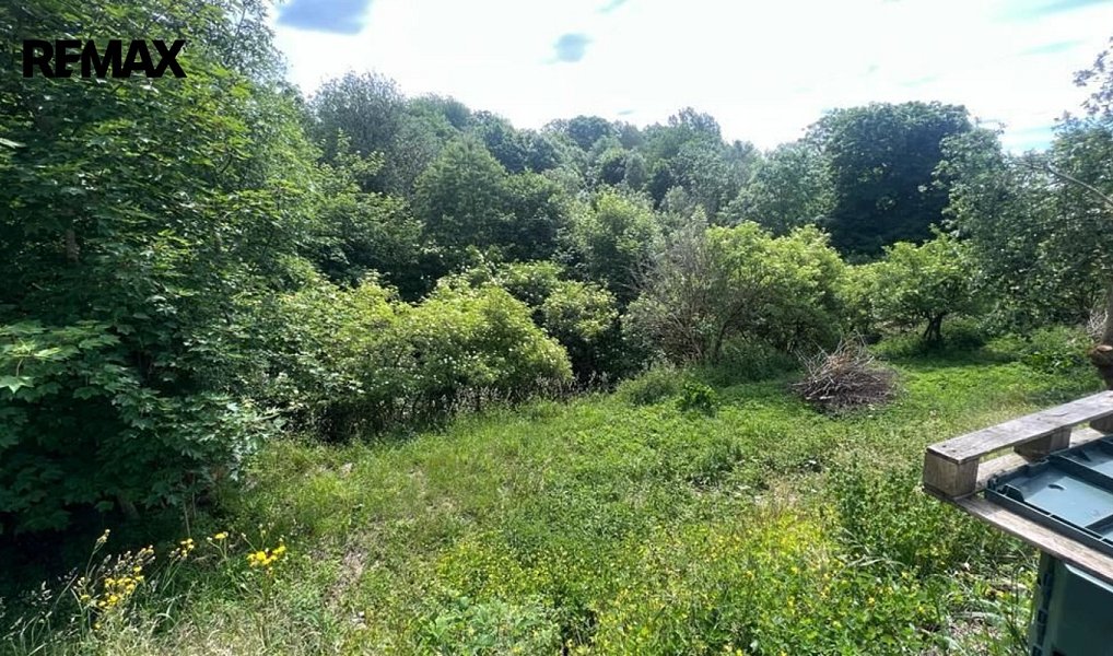 Prodej zahrady 1 818 m², Chodová Planá – náhled fotky 2