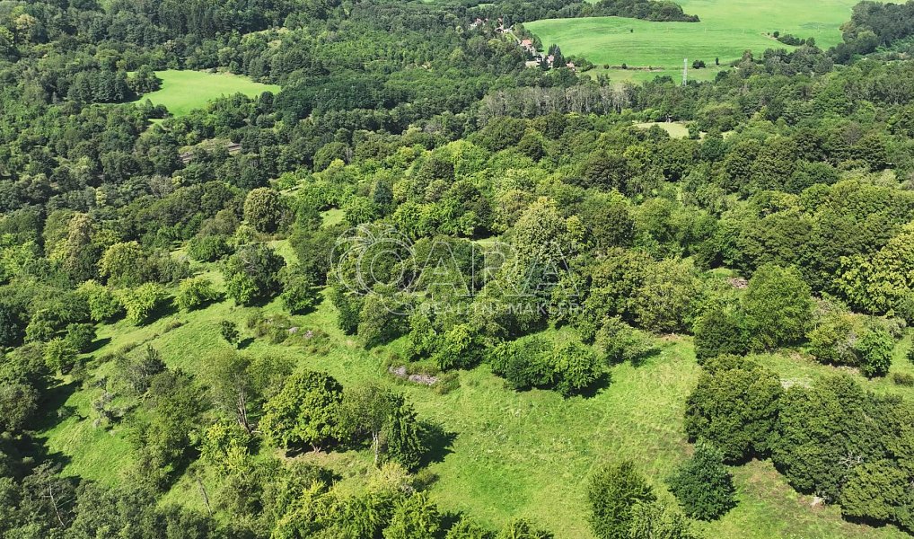Prodej louky 199 287 m², Vojkovice – náhled fotky 8