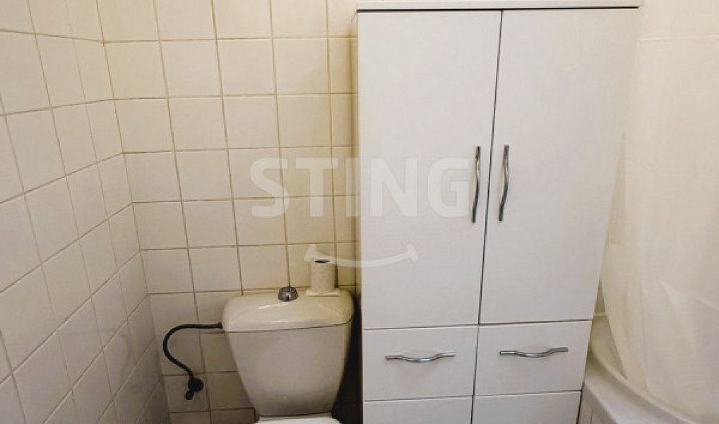 Pronájem bytu 1+kk 43 m², Ostrava – náhled fotky 6