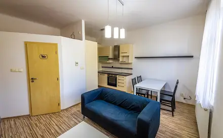 Pronájem bytu 2+kk 37 m², Mlýnská, Jihlava