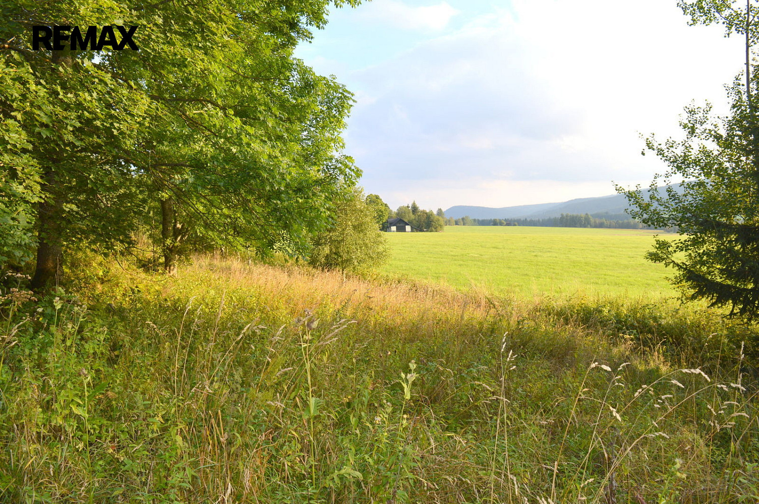Prodej pozemku 8 040 m² – fotografie 5
