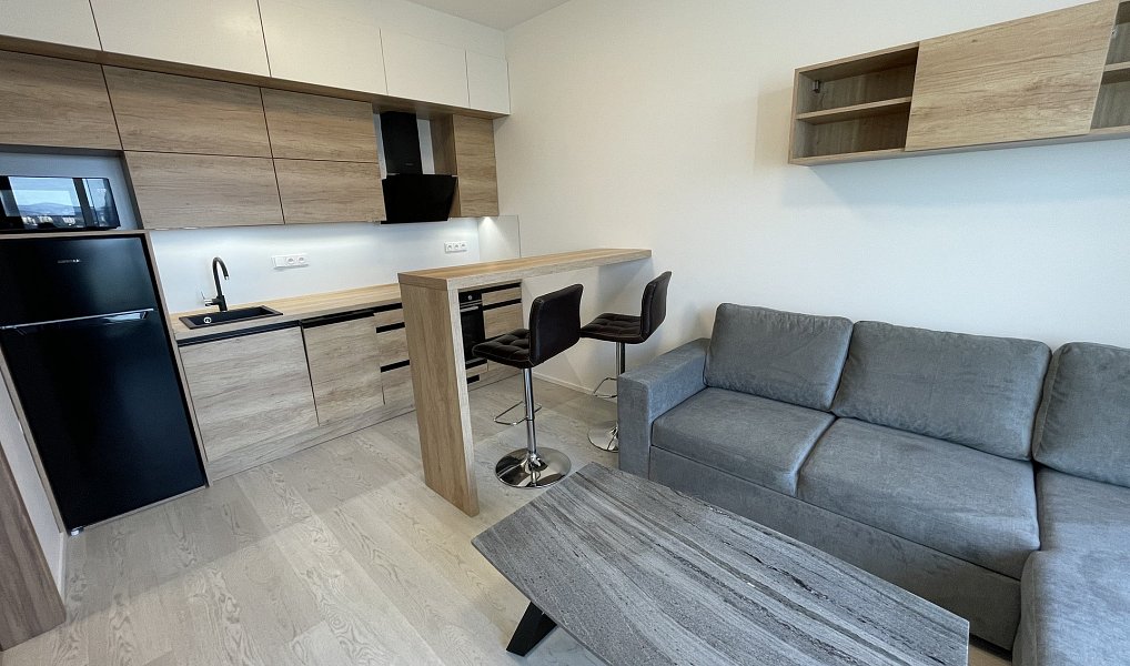 Pronájem bytu 2+kk 50 m², Brno – náhled fotky 4
