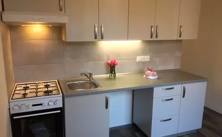 Pronájem bytu 1+1 41 m², Hudební, Ostrava - Mariánské Hory