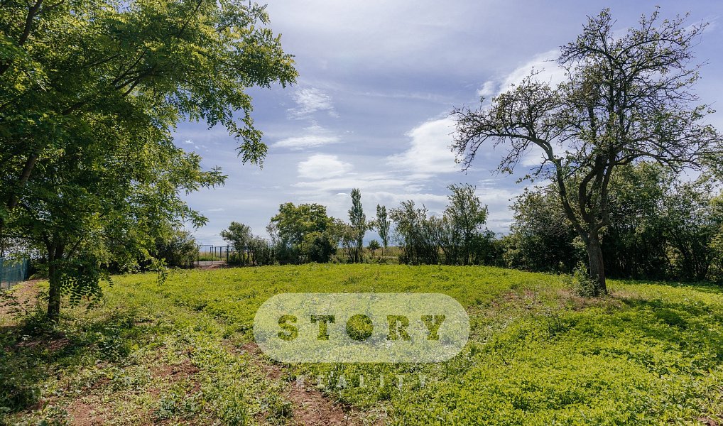 Prodej zahrady 1 000 m², Křelov-Břuchotín – náhled fotky 7