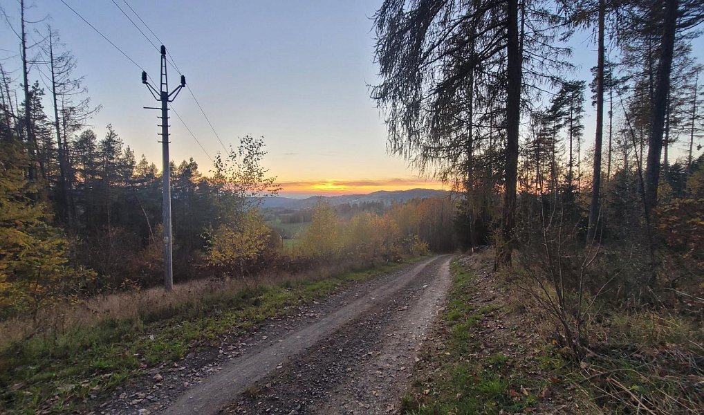 Prodej louky 6 834 m², Železný Brod – náhled fotky 9