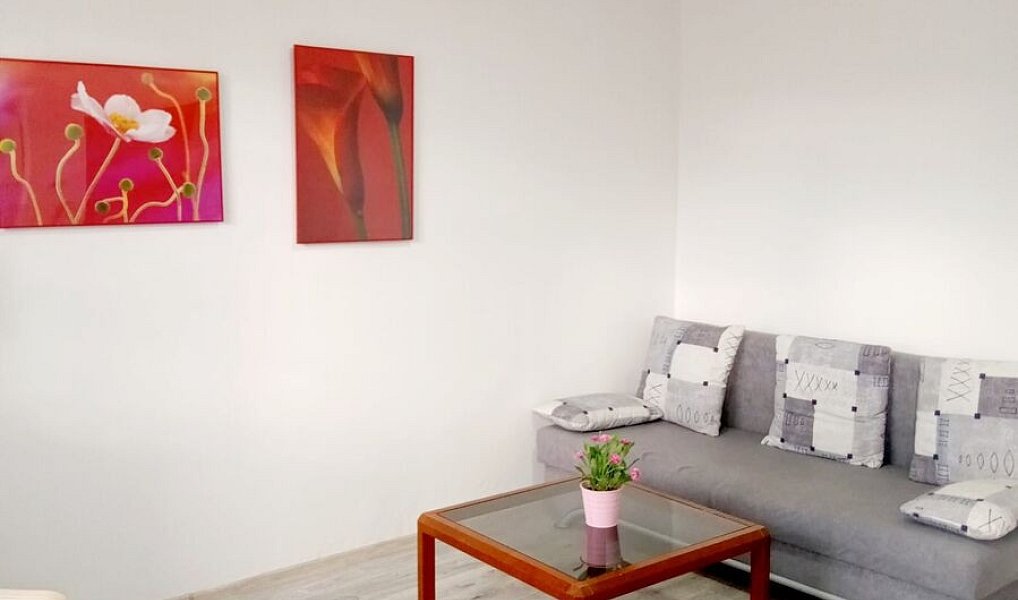 Pronájem bytu 1+kk 27 m², Olešnice v Orlických horách – náhled fotky 3
