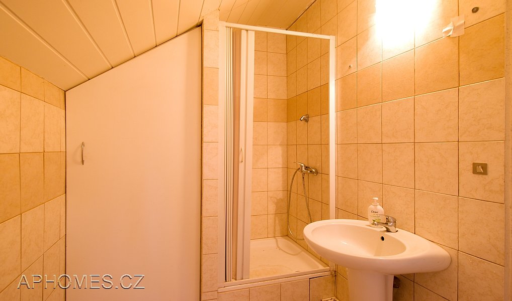 Pronájem chaty/chalupy 80 m² s pozemkem 1 152 m², Dolní Břežany – náhled fotky 10