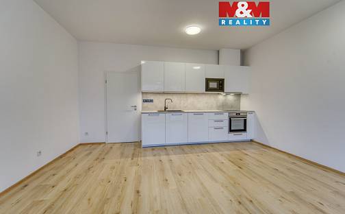 Pronájem bytu 1+kk 35 m², Měděná, Plzeň - Jižní Předměstí