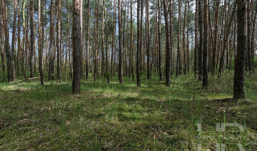 Prodej komerčního pozemku 111 367 m², Nymburk – náhled fotky 27