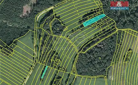 Prodej lesa 420 m², Vysoká, okres Svitavy