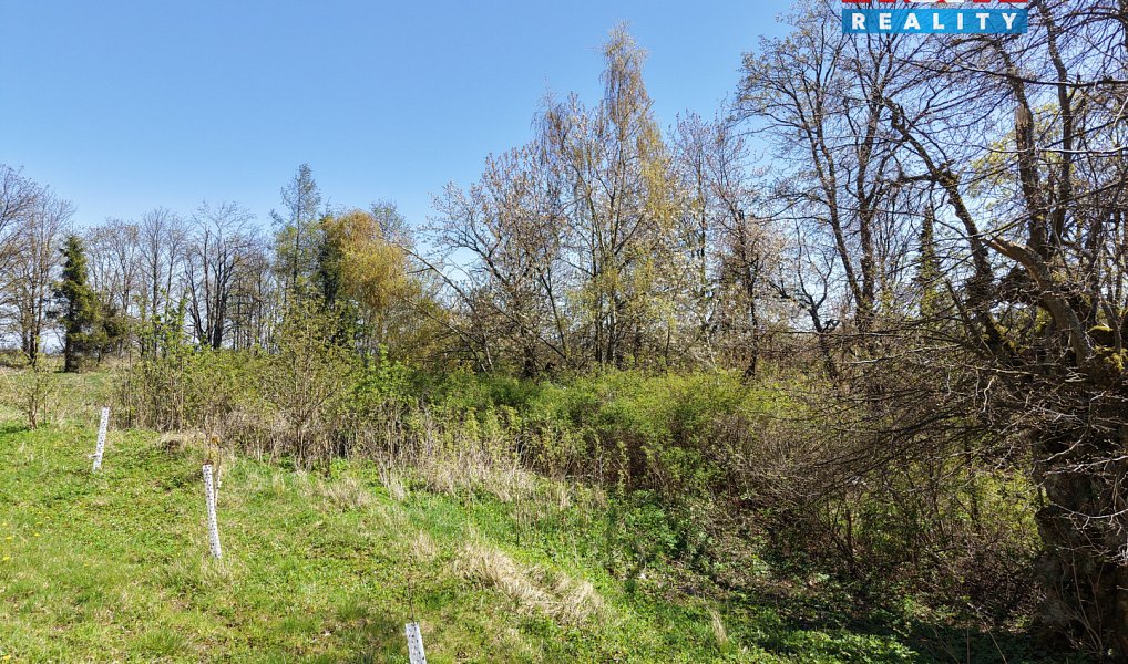 Prodej pozemku 252 m², Výsluní – náhled fotky 4