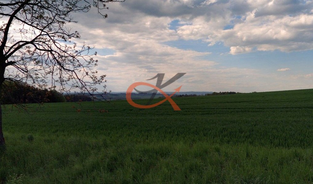 Prodej pole 2 192 m², Lešná – náhled fotky 4