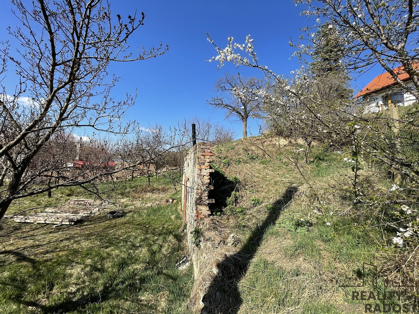 Fotka 10 z 29