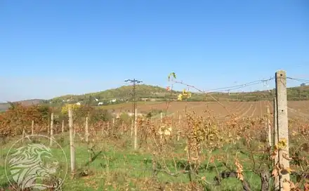 Prodej pole 2 775 m², Velké Žernoseky, okres Litoměřice