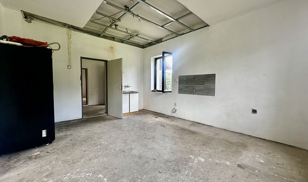 Prodej domu 250 m² s pozemkem 1 993 m², Sadov – náhled fotky 9