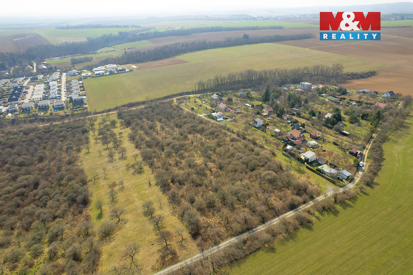 Prodej pole 19 004 m² — photo 4