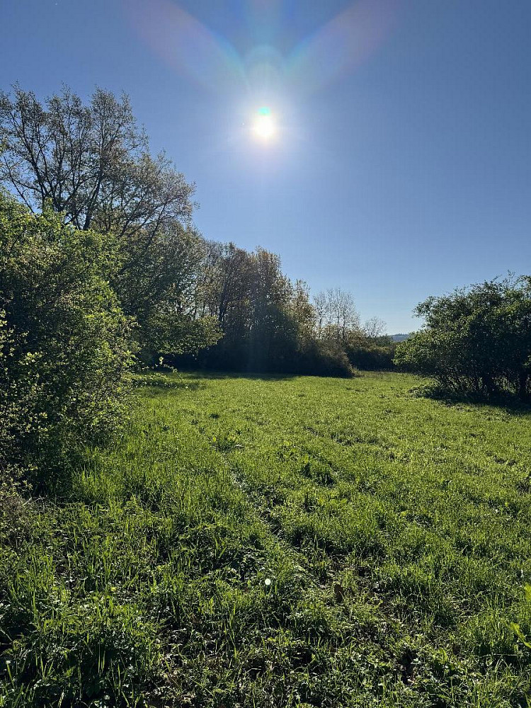 Prodej pozemku 20 250 m²