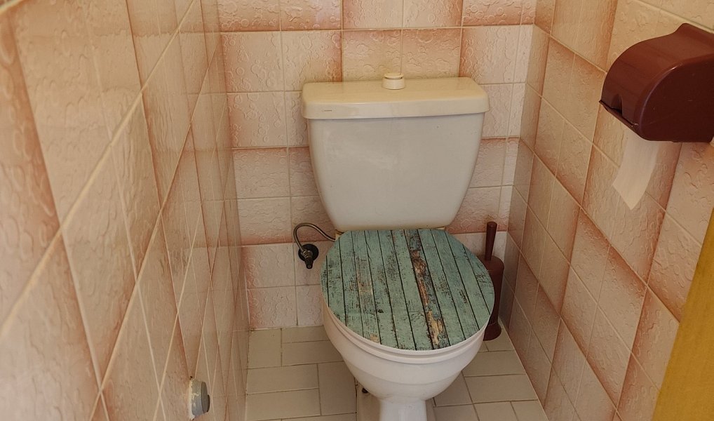 Pronájem domu 309 m² s pozemkem 152 m², Pardubice – náhled fotky 31