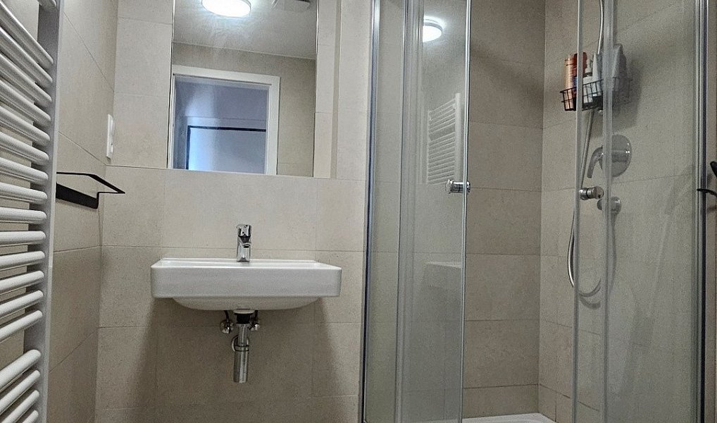 Pronájem bytu 1+kk 26 m², Praha – náhled fotky 8