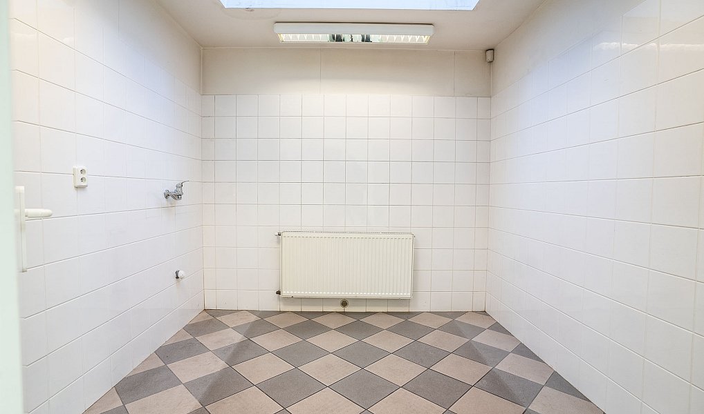 Prodej domu 255 m² s pozemkem 201 m², Hostinné – náhled fotky 16