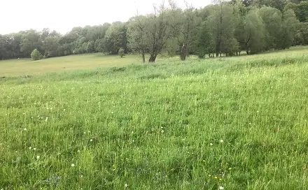 Prodej pozemku 85 000 m², Benecko