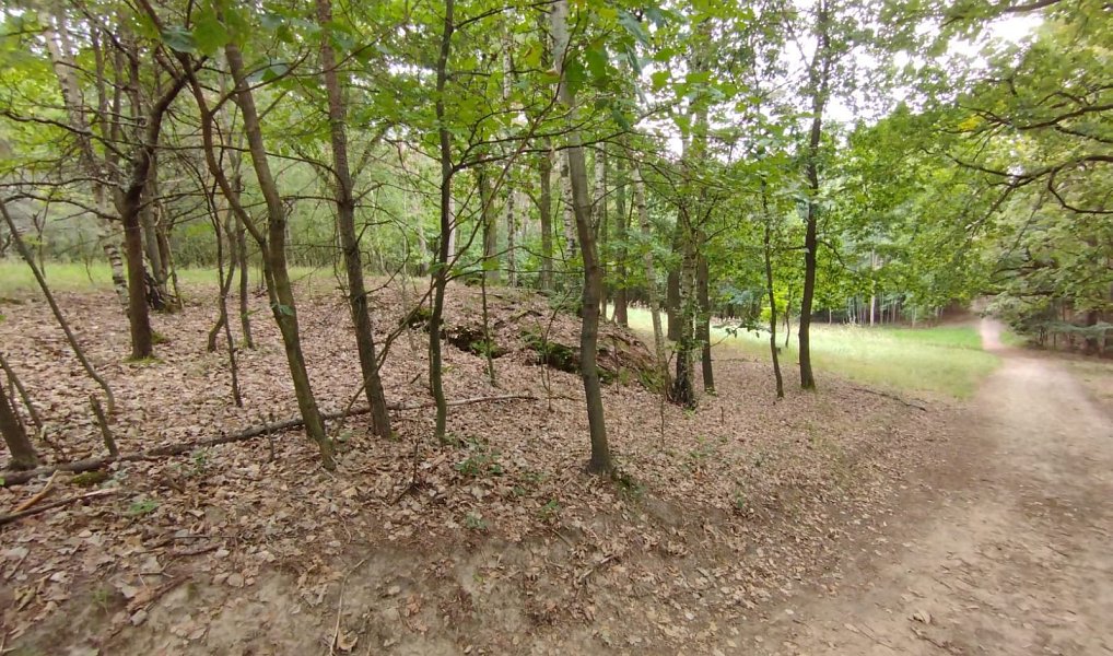 Prodej louky 10 524 m², Boseň – náhled fotky 6