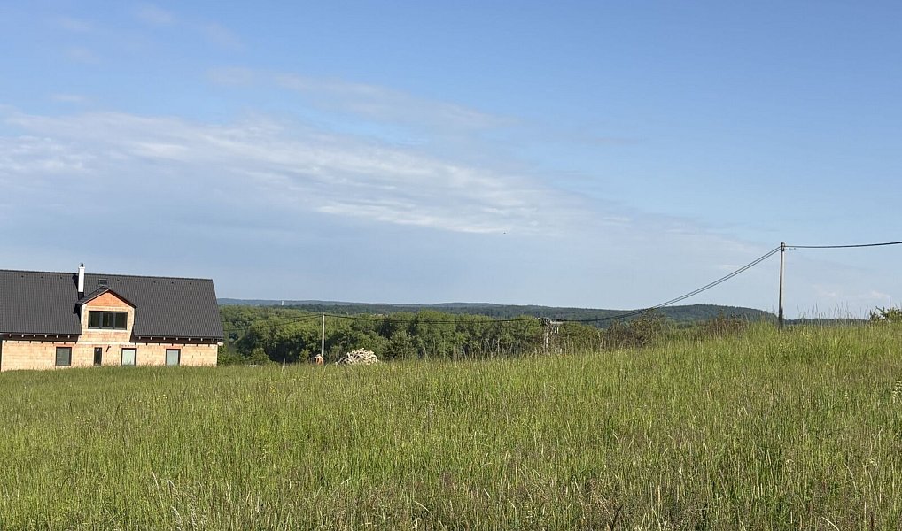 Prodej stavebního pozemku 3 521 m², Vračovice-Orlov – náhled fotky 6