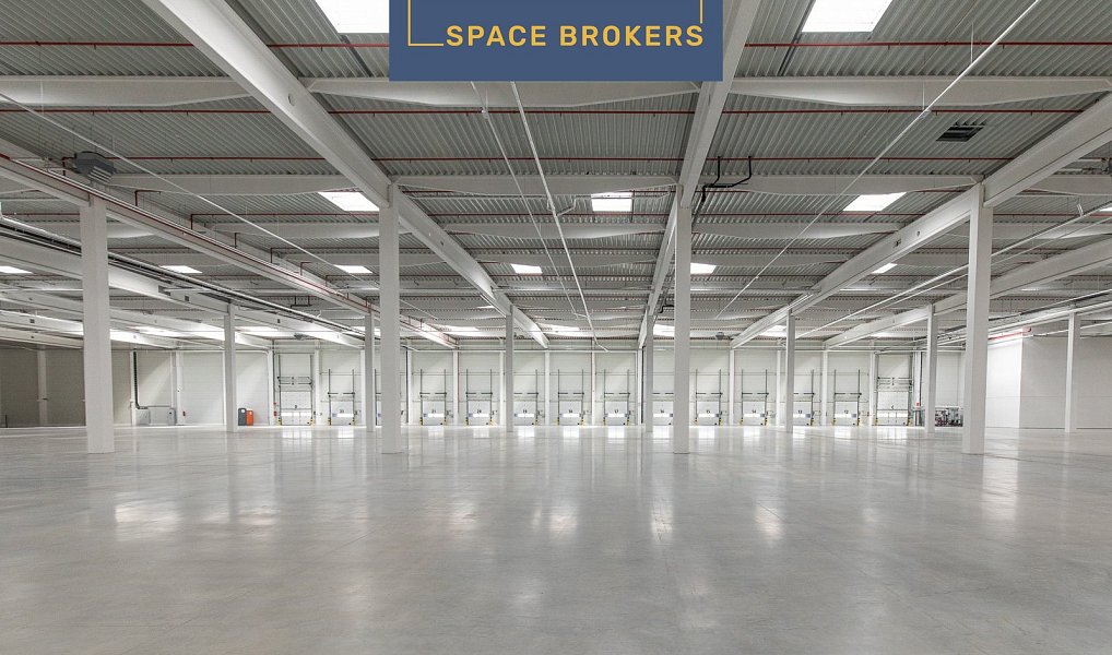 Pronájem skladovacích prostor 69 000 m², Velké Albrechtice – náhled fotky 7