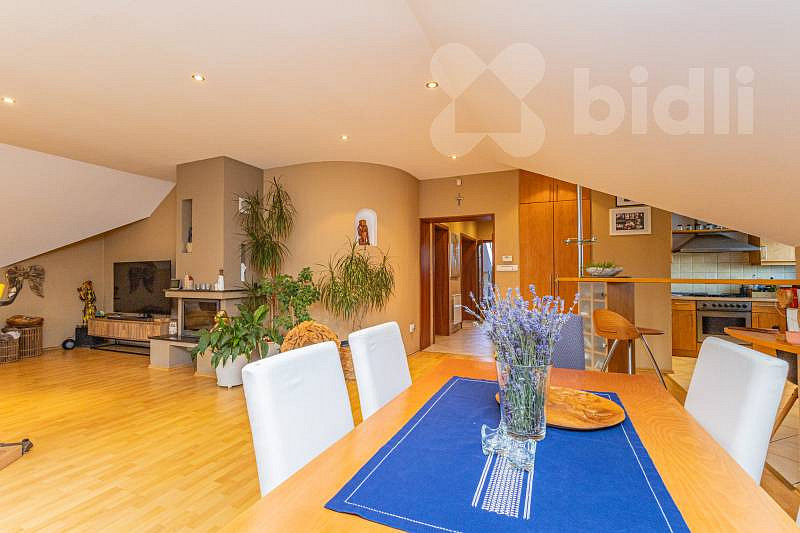 Prodej domu 300 m² s pozemkem 804 m² – fotografie 4